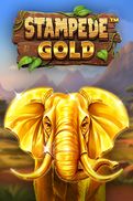 Stampede Gold